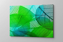 Obraz Zelené listy zs1272